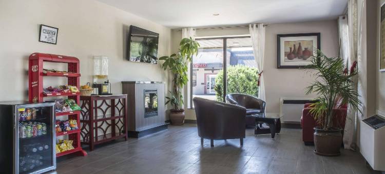 舒适酒店(Comfort Inn)图片