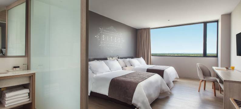 蒙特里亚西斯特酒店(Hotel Sites Montería)图片