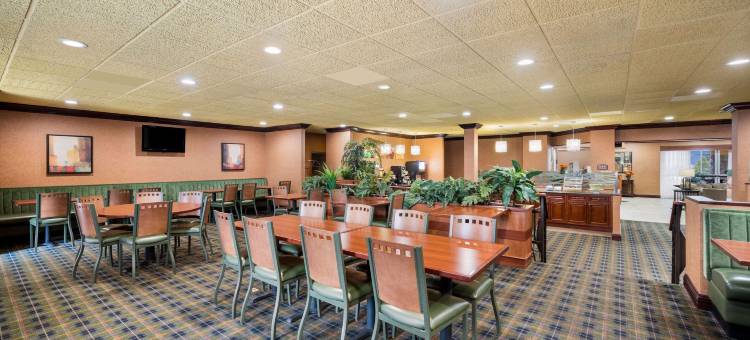 费尔格朗兹凯艺套房酒店(Quality Inn and Suites Fairgrounds - Syracuse)图片