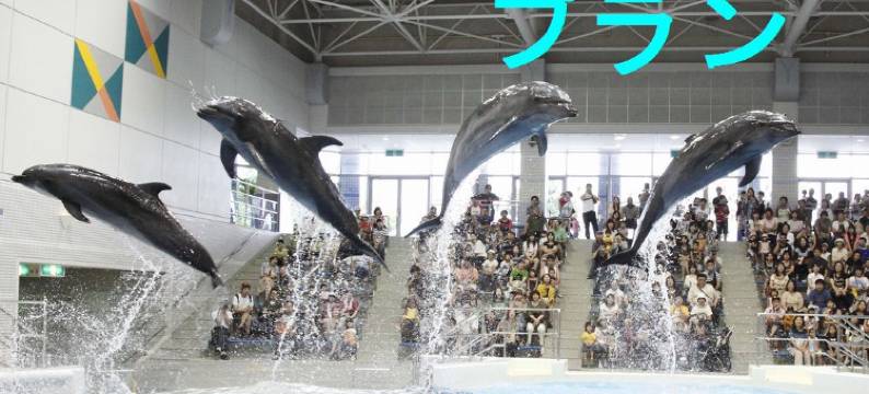 鹿儿岛阿比克酒店(Hotel Urbic Kagoshima)图片