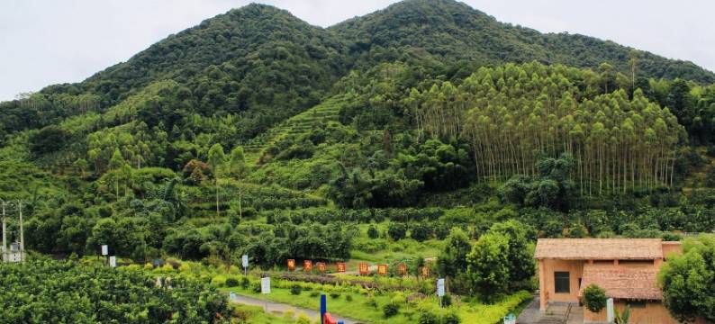 张浮玉特色民宿图片
