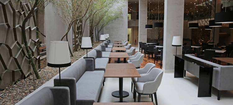 NH Collection 库里提巴(NH Collection Curitiba)图片