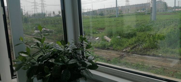 鹤岗蓝藤民宿图片