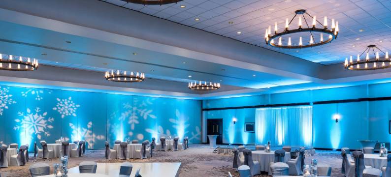 达拉斯沃斯堡机场威斯汀酒店(The Westin Dallas Fort Worth Airport)图片