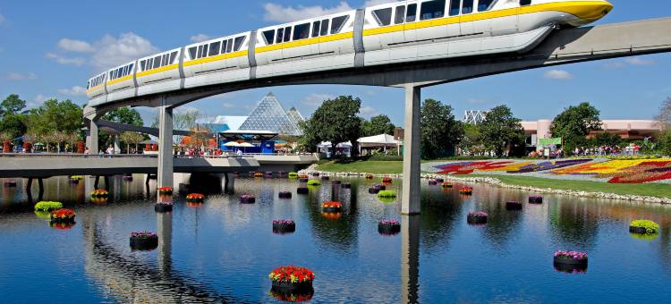 奥兰多国际大道主题公园智选假日套房酒店(Holiday Inn & Suites Orlando I-Drive - Theme Parks)图片