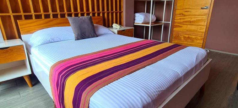 莫莫特斯酒店(Hotel Momotus Tuxtla, en El Centro - Acceso autónomo)图片