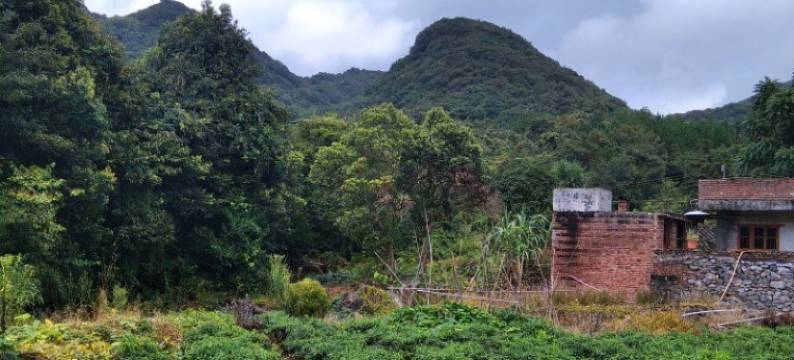 连州发兴农家乐民宿(燕喜路分店)图片