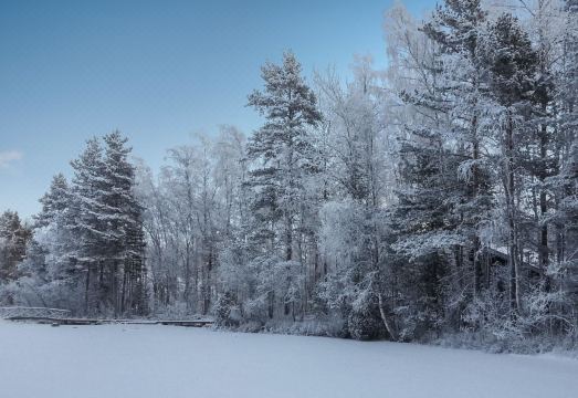 Villa Tilia Hotel Overview