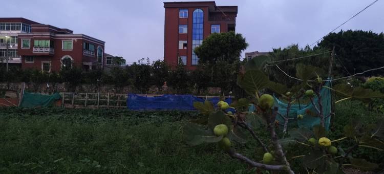 平潭房东韩姐度假别墅(东霞路1号分店)图片