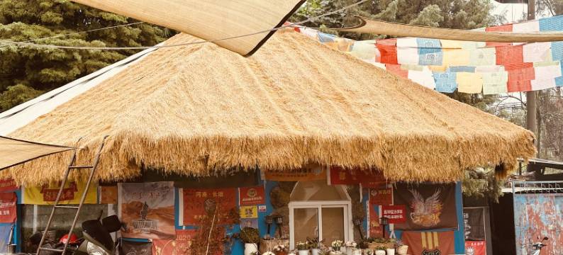 翎棉花民宿(金色大道分店)图片