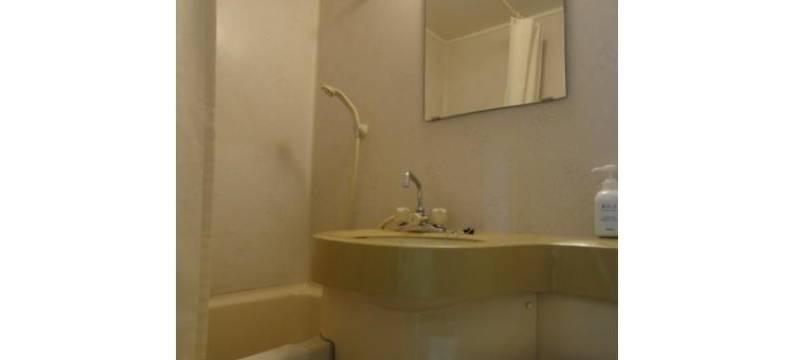 高田车站酒店(Takada Terminal Hotel)图片