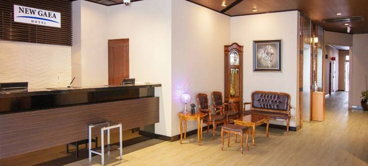 新盖亚酒店-药院(Hotel New Gaea Yakuin)图片