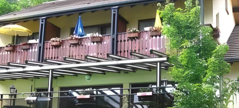 弗杜奈克酒店(Le Freudeneck)图片