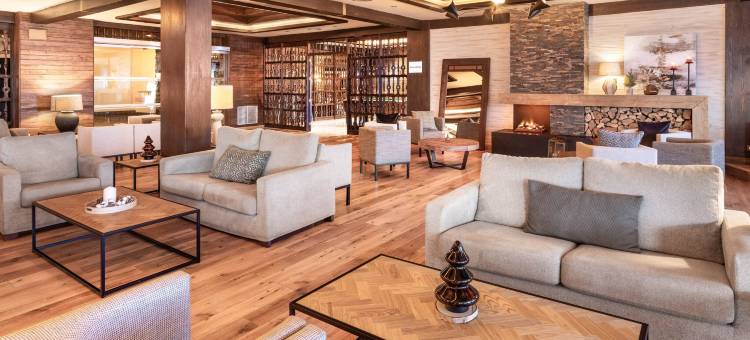 内华达山脉美利亚酒店(Melia Sierra Nevada)图片