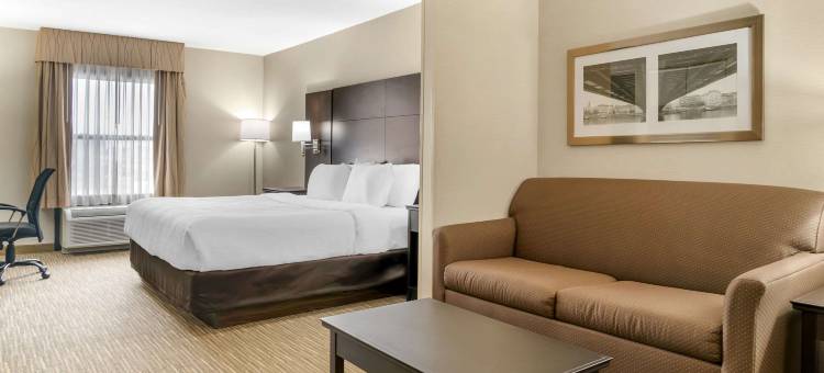 凯艺套房酒店(Quality Inn & Suites)图片