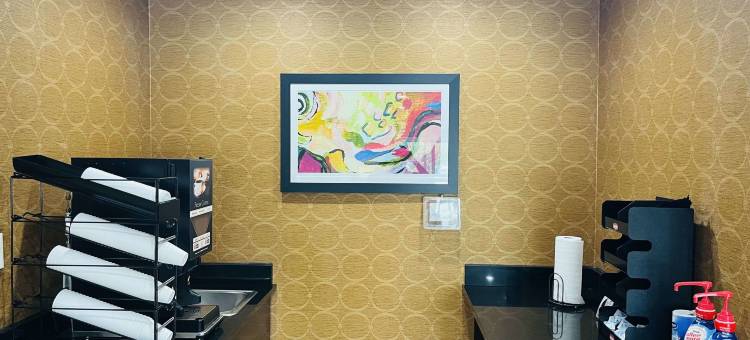 唐纳森维尔 - 冈萨雷斯郊区套房酒店(Suburban Studios Donaldsonville - Gonzales)图片