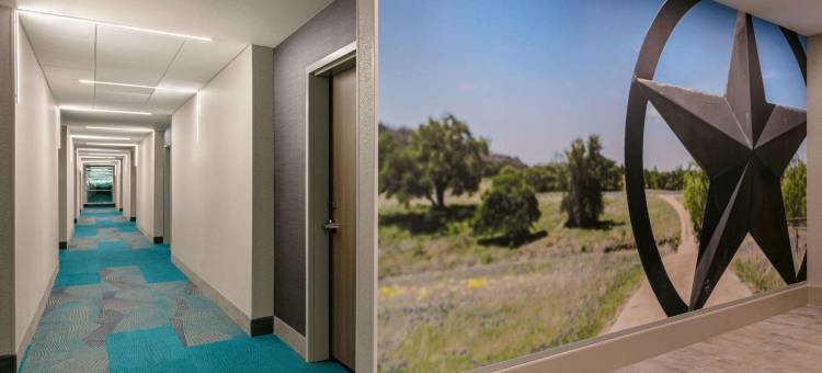 克利奇站北拉昆塔温德姆套房酒店(La Quinta Inn & Suites by Wyndham College Station North)图片