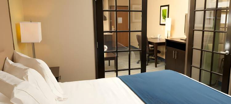 智选假日套房酒店布卢明顿市中心 - 正常(Holiday Inn Express & Suites Bloomington - Normal)图片