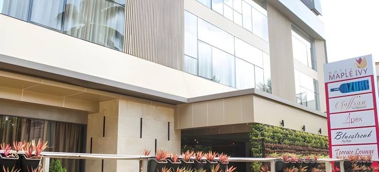 枫叶常春藤酒店(Maple Ivy- A Boutique Hotel)图片