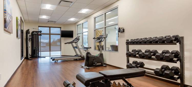 舒适套房酒店(Comfort Inn & Suites)图片