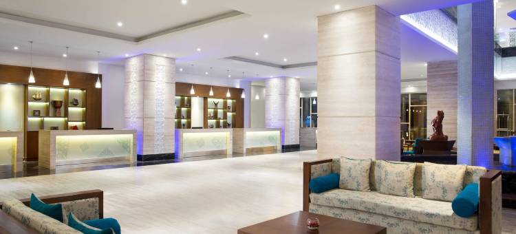 望加锡福朋喜来登酒店(Four Points by Sheraton Makassar)图片