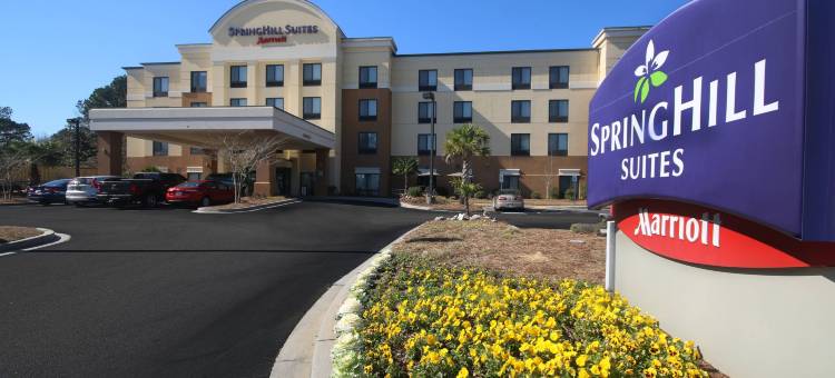 北查尔斯顿/阿什利法斯菲特万豪SpringHill Suites 酒店(SpringHill Suites Charleston North/Ashley Phosphate)图片