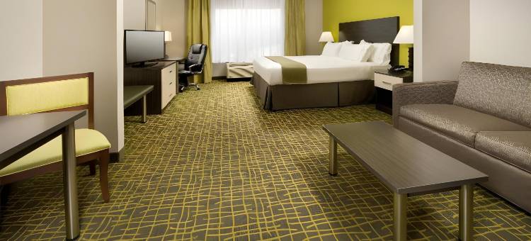 卡里维尔智选假日套房酒店(Holiday Inn Express & Suites Caryville)图片