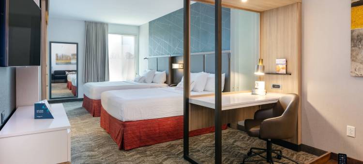 查特努加南-林戈尔德万豪SpringHill Suites酒店(SpringHill Suites Chattanooga South/Ringgold, GA)图片