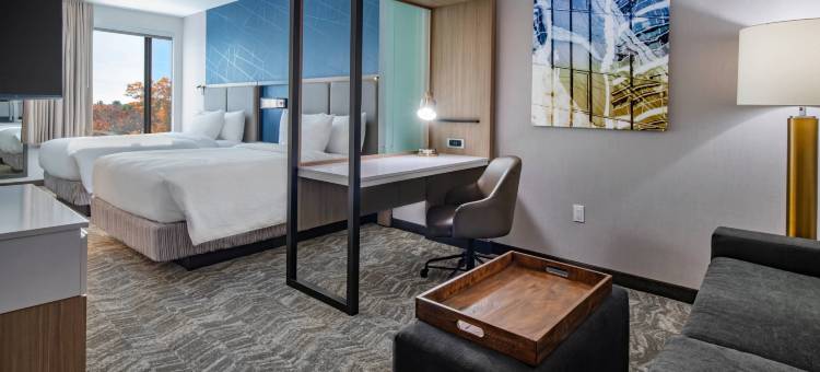 伦瑟姆普兰维尔SpringHill Suites酒店(SpringHill Suites Wrentham Plainville)图片