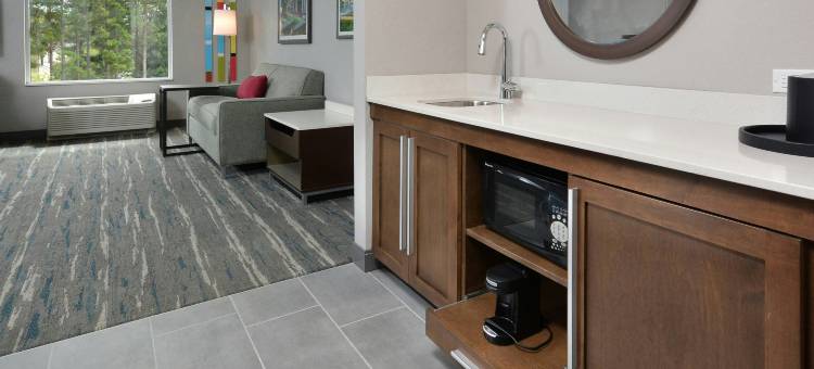 夏洛特北 I 485 希尔顿欢朋套房酒店(Hampton Inn & Suites by Hilton Charlotte North I 485)图片