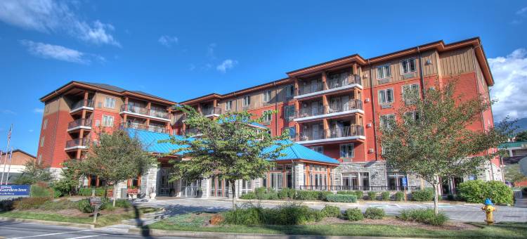 希尔顿花园旅馆-加特林堡(Hilton Garden Inn Gatlinburg)图片