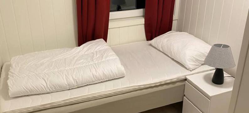 Charming 2-bedroom loft by UNESCO Jotunheimen and Vettifossen!图片