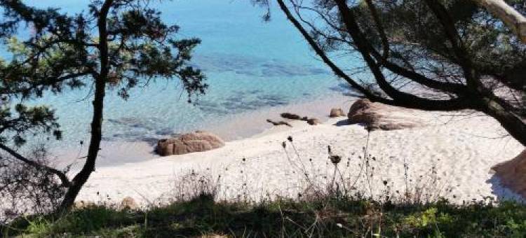 Stazzu Martina图片