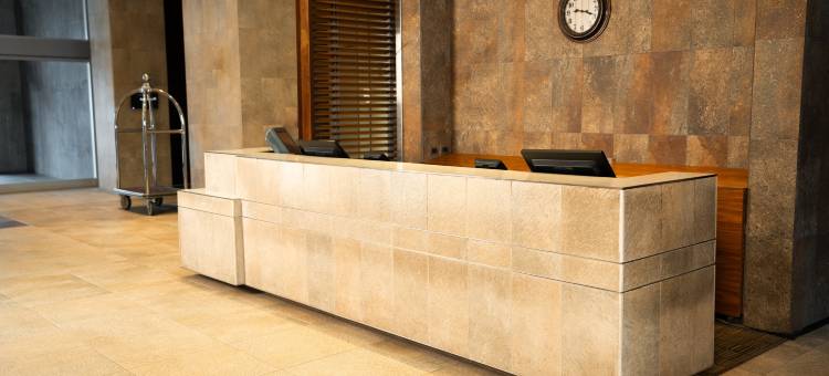 希尔顿花园酒店-圣地亚哥机场(Hilton Garden Inn Santiago - Airport)图片