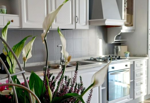 Cornice di Stile Hotel Overview