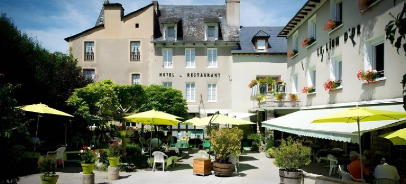 金狮酒店(Hotel le Lion d'Or)图片