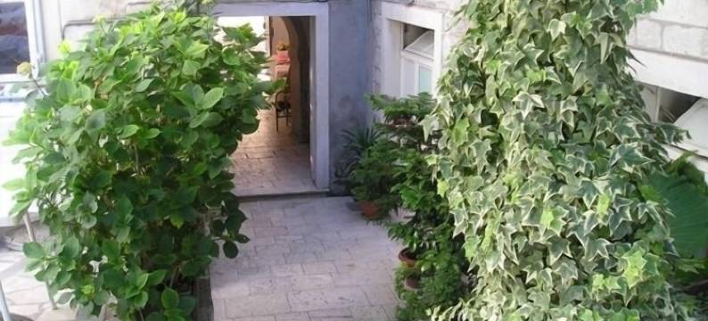 莫妮卡酒店(Hotel Monika)图片