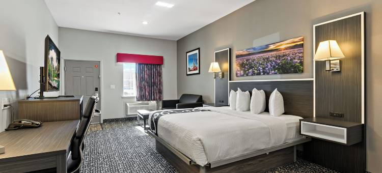 帕里斯套房酒店(Paris Inn & Suites)图片