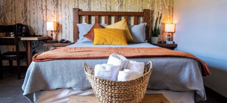 洛克蒙酒店(Hôtel Roquemont)图片