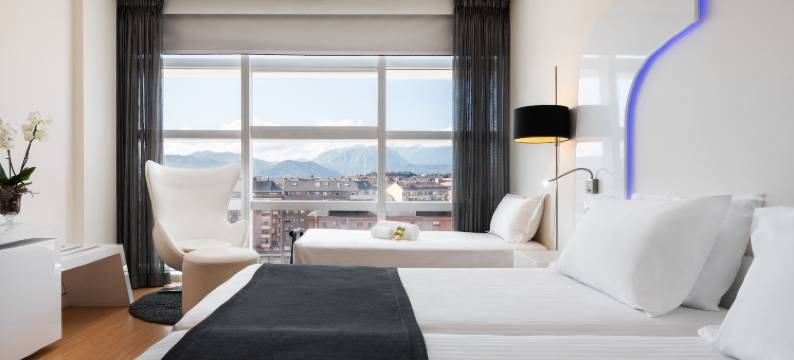 水晶宫欧洲之星酒店(Eurostars Palacio de Cristal)图片