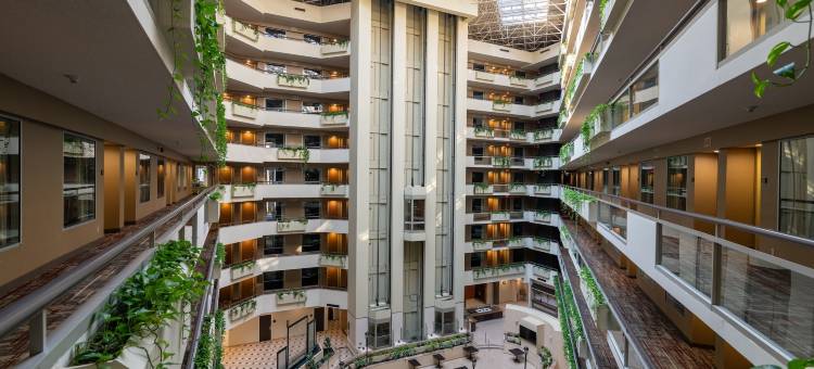 和谐西考克斯草地套房酒店(Harmony Suites Secaucus Meadowlands)图片