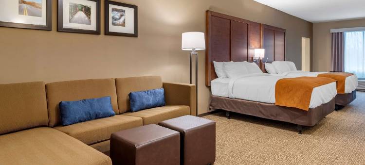 舒适套房酒店(Comfort Suites)图片