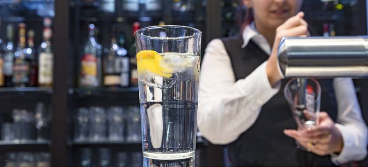 威斯巴登市区佳阁酒店(洲际旗下)(Garner Hotel WIESBADEN CITY by IHG)图片