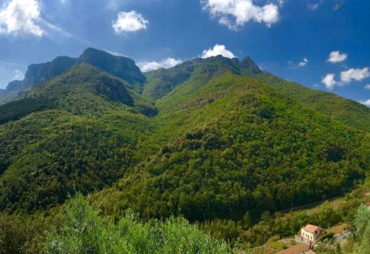 Oliveto Stunning Property with Private Garden Hotel Overview