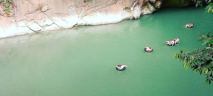 唐卡汉绿色小屋(Green Lodge Tangkahan)图片