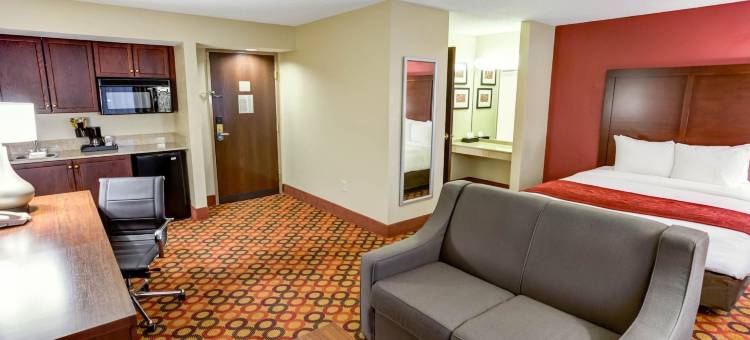 Concord Suites by IHG图片