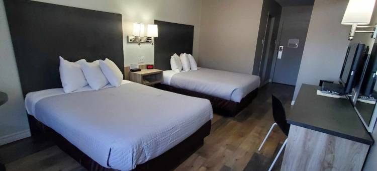 625号酒店(Hôtel le 625)图片