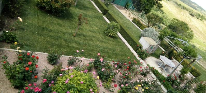 诺维涅通酒店(La Vigneronne)图片