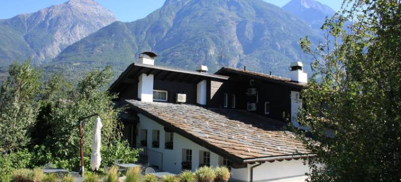 乡村酒店(Hotel Village)图片