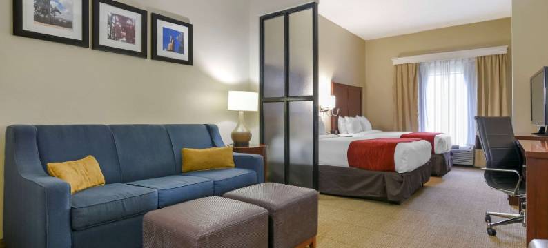富尔顿戴尔I-65附近I-22舒适套房酒店(Comfort Suites Fultondale I-65 Near I-22)图片